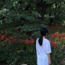 석산민박 이미지