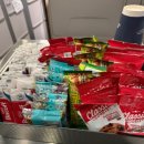 윤아치킨 | 아기랑 델타항공 탑승 후기｜인천공항 제2터미널 DL170 · KE5033 미네소타 밤비행