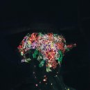 경남 통영 1박 2일 여행 코스 가볼만한 곳 :: 디피랑, 통영중앙전통시장, 삼도수군통제영 이미지