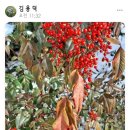 수당리 이미지