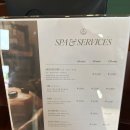 스톤힐 | 보홀 마사지 더힐스파샵 시그니처 오일 핫스톤 받은 후기