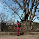 청룡마을길 4-1 이미지