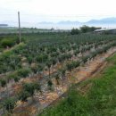 남해-311 이미지