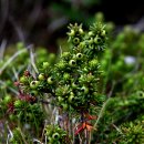 방장목장 이미지