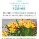 마이뉴스킨