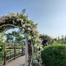 장미공원A 이미지