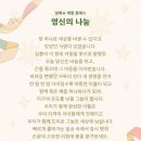 영신이불 네이버블로그