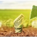 투자선택 프로세스 이미지