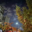 LG탕 이미지