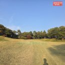 세컨더블비 이미지