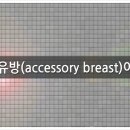 이바담그룹의원 이미지