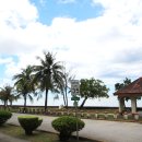 달리는족족 이미지