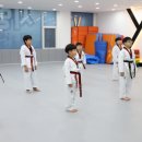 SKY태권도장 | 전주 장동 확실한 교육 커리큘럼 아이들을 위한 태권도장