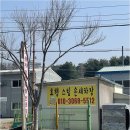 명가모터스 네이버블로그