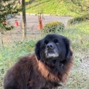 혜원목장 이미지