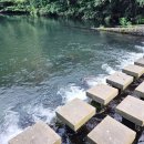 천지연주차장 | [제주 서귀포 가볼만한 곳] 천지연폭포 주차장 입장료 사진스팟 솔직후기