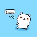 이노텍건강 | 구미 엘지이노텍 입사+교육1일차