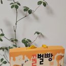 칠곡꿀벌빵 | 꿀벌빵본점 왜관맛집 꿀벌빵 프리미엄 디저트 선물세트 후기