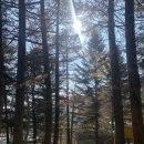 횡성 별빛마을 캠핑장 이미지