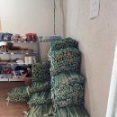 안성 내츄럴리조트 | [안성 애견 캠핑장] 안성 내츄럴 리조트 애견캠핑장 후기와 장단점, 시설