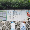 산새랑 게스트하우스 이미지