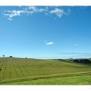 하니농장 이미지