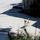 바다솔정원펜션 이미지