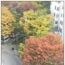 하계동거리 이미지