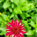 해양에너지노동조합 이미지