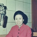 스무고개 Daum카페