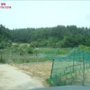 손양면사무소 이미지