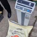 홍산오토바이