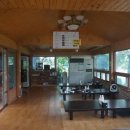 시탕뿌리 이미지