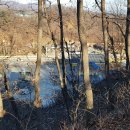 녹박재주유소 이미지