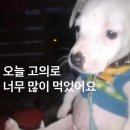 반반치킨 이미지
