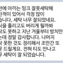 신동세탁소 네이버블로그