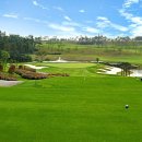 파인비치 이미지