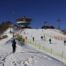 1월18일(토) 고한 백운산 눈산행 이미지