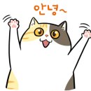 디저트39강릉 이미지