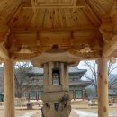 [보은 가볼 만한 곳 정이품송 법주사 하나로마트 보은농협 속리산점 짧은 후기 주차 꿀 팁까지]