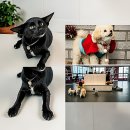 리츠펫 이시아폴리스점 이미지