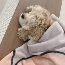 성인피아노 이미지