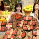 포토마켓 이미지