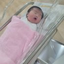 회진고려의원 | 금빛여성의원 제왕절개 출산 후기