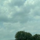 하얀미소연합치과의원 이미지