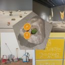 미술에 대한 이해 | <소멸의 시학: 삭는 미술에 대하여> 관람 후기 (국립현대미술관 서울 전시)