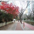 좌4동-13 Daum카페