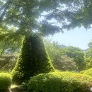 공학1관 이미지