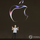 애플태양광발전소4 이미지