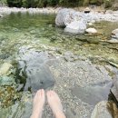 파래소 빨간지붕 이미지